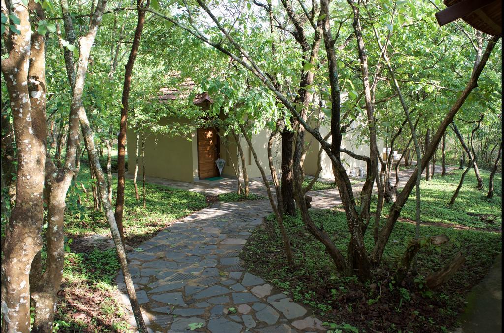 The Windflower Jungle Resort & Spa, Bandipūr Dış mekan fotoğraf