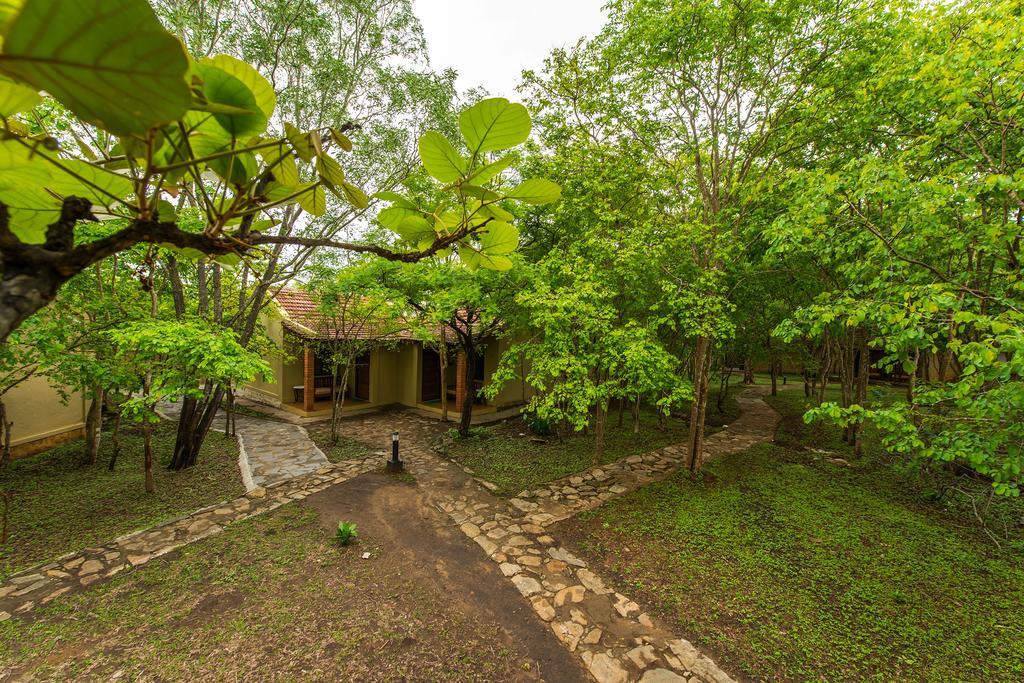 The Windflower Jungle Resort & Spa, Bandipūr Dış mekan fotoğraf